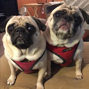 Meet your Posher, Ethan